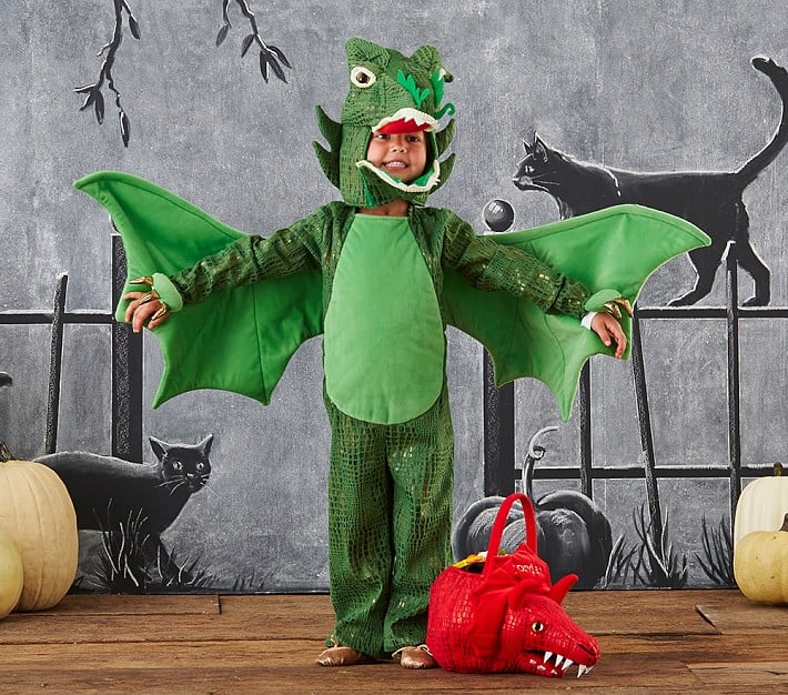 Pottery Barn Kids Dragon Costume