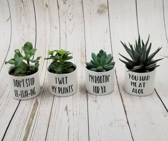 I'm Rootin' For Ya Punny Plant Pot