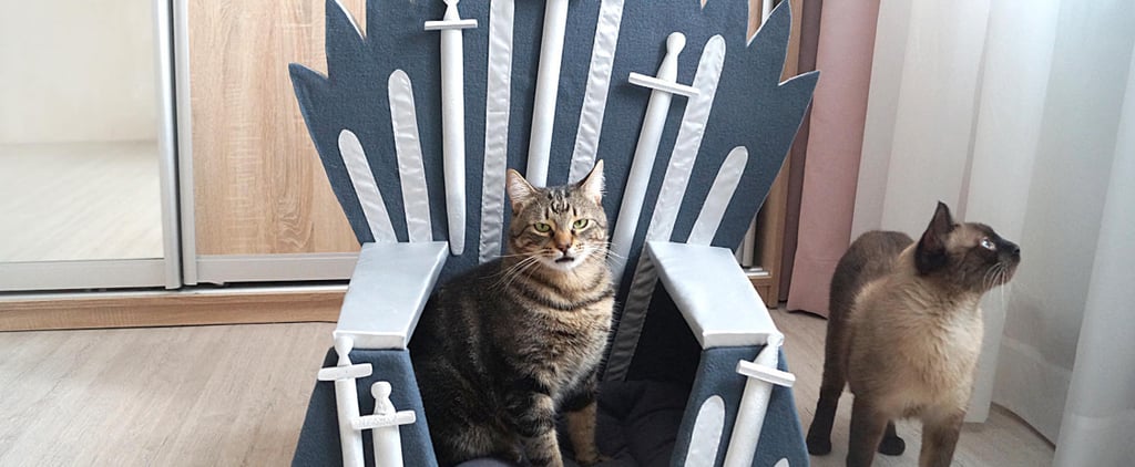 Game of Thrones Bed For Pets