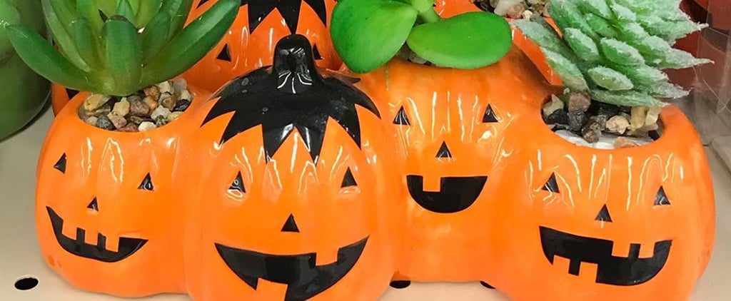 Walgreen's Ghostly Halloween Succulent Planters Are Adorable