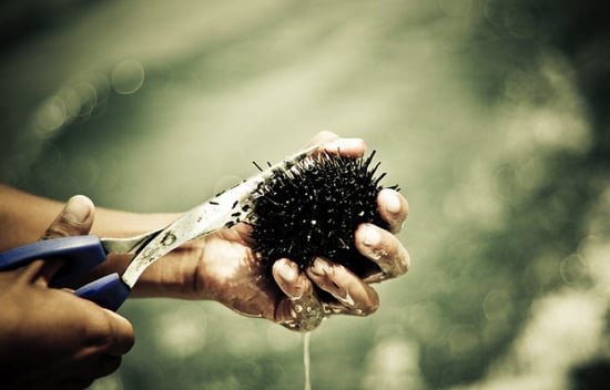 5 Aphrodisiacs For Valentine S Day From Chef David Bazirgan Of