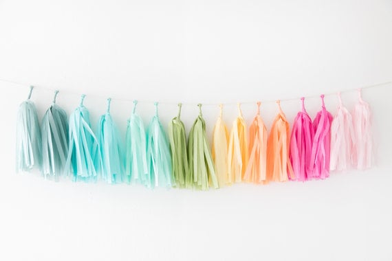 Rainbow Tissue Tassel Garland