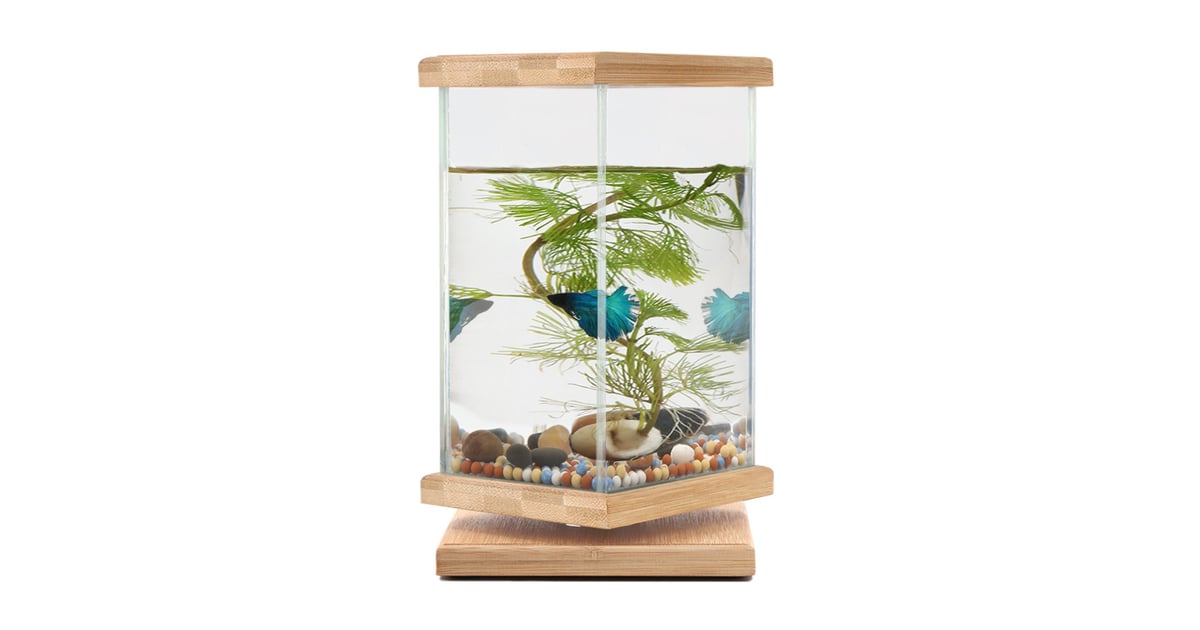 360 Bamboo Fish Tank Cubicle Decor Ideas POPSUGAR Smart Living Photo 25