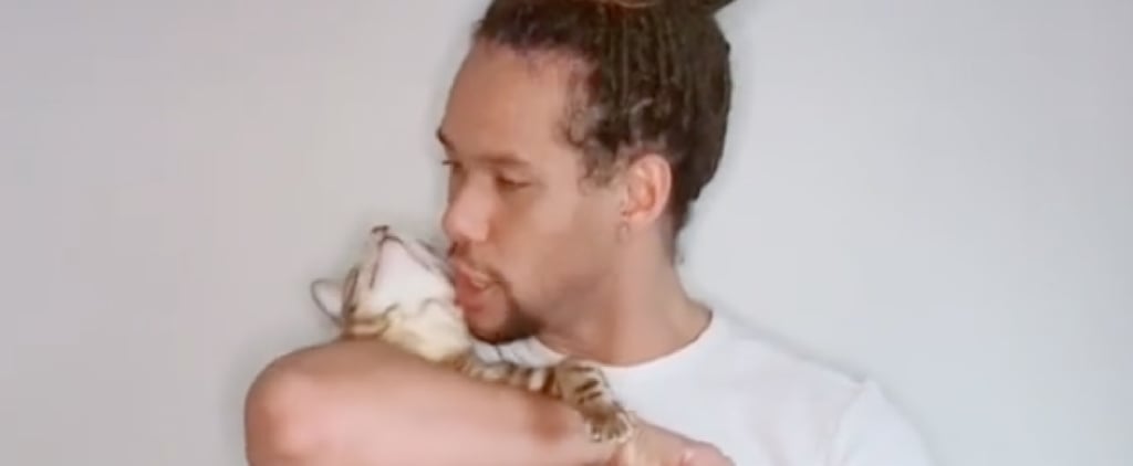 Cat Interrupts Actor Auditioning For Role in TikTok Videos