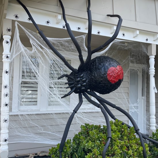 如何让一个DIY巨型蜘蛛|万圣节装饰吗