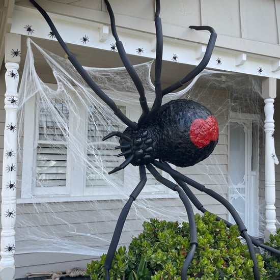 How to Make a DIY Giant Spider | Halloween Decor