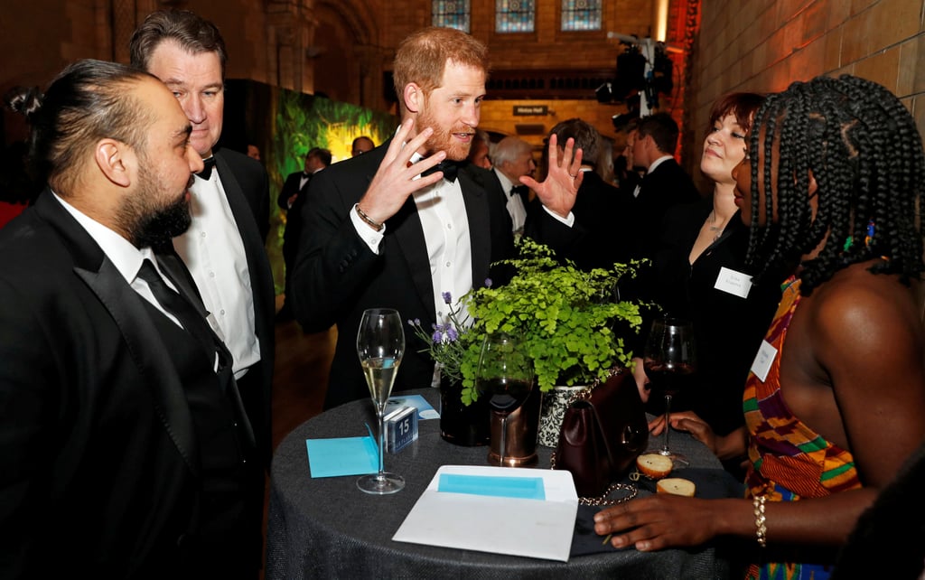 Harry, William, and Charles at Our Planet Premiere 2019