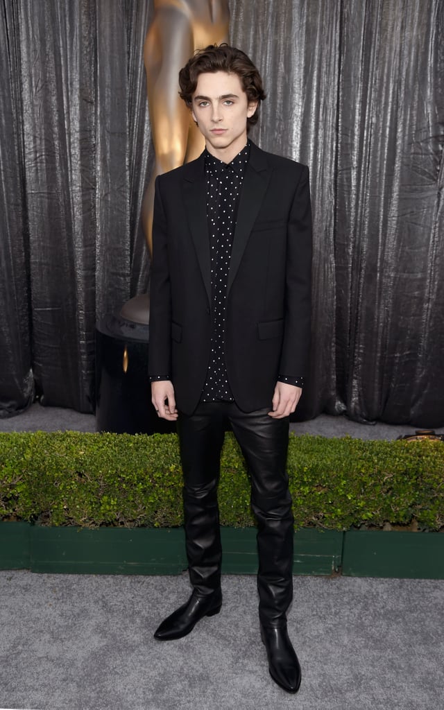 Timothée Chalamet at the 2019 SAG Awards