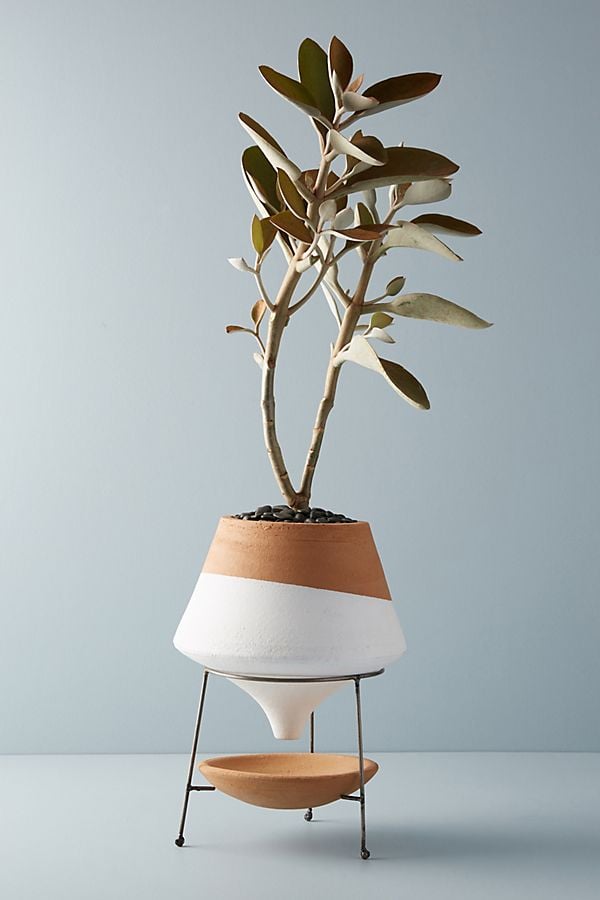 Get the Look: Dipped Clay Pot + Stand