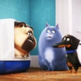 Do You Love Animals? You Should Definitely Check Out These 20 Netflix Movies