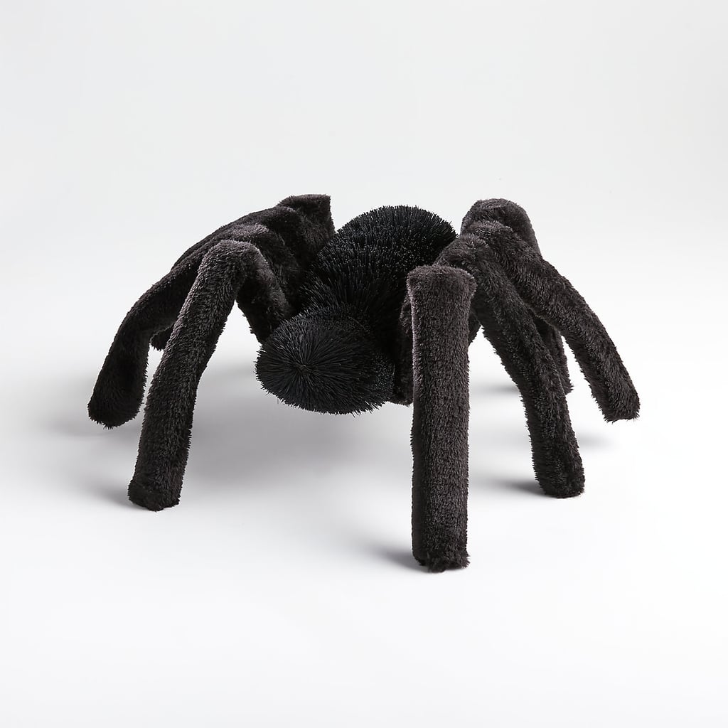 Black Buri 7.5" Spider