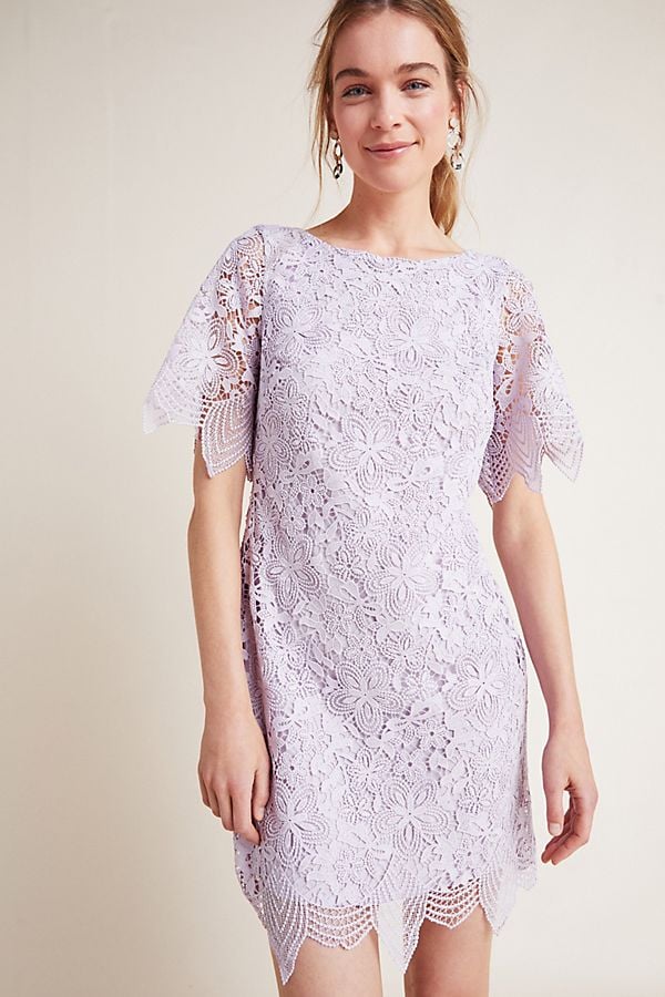 Charleston lace 2025 mini dress