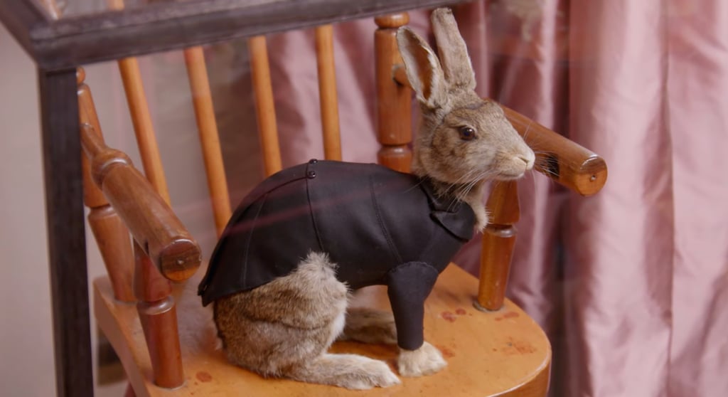 One of the many pieces of ethical taxidermy in Dita's possession. One of the many pieces of ethical taxidermy in Dita's possession.
