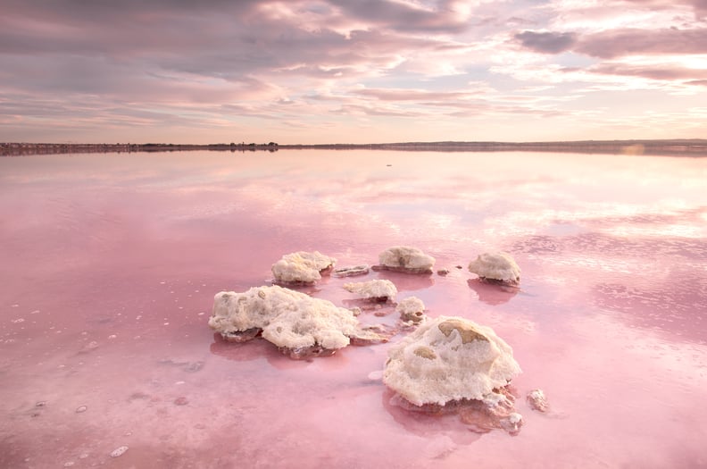 Admire the Pink Hues of Laguna Salada de Torrevieja in Spain