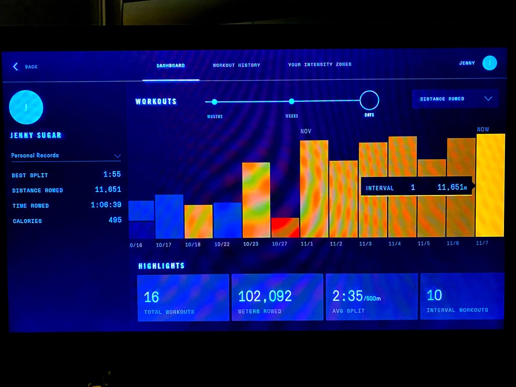 Ergatta Workout History