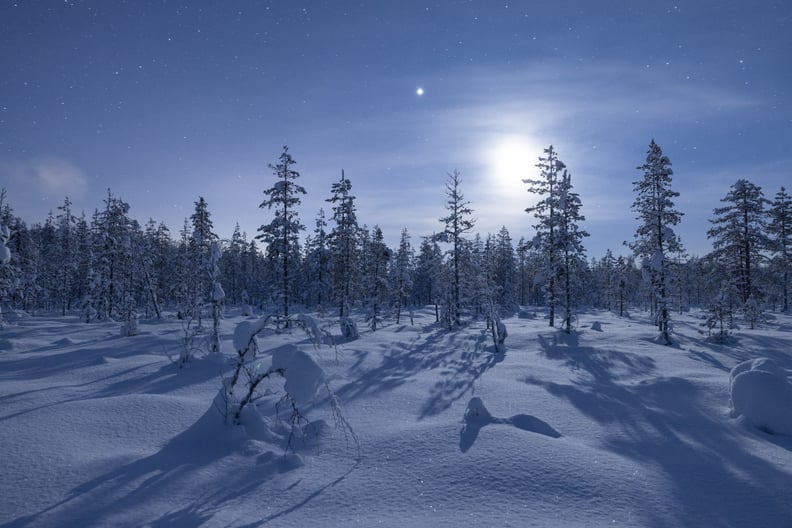December Cold Moon Meaning for Each Zodiac Sign
