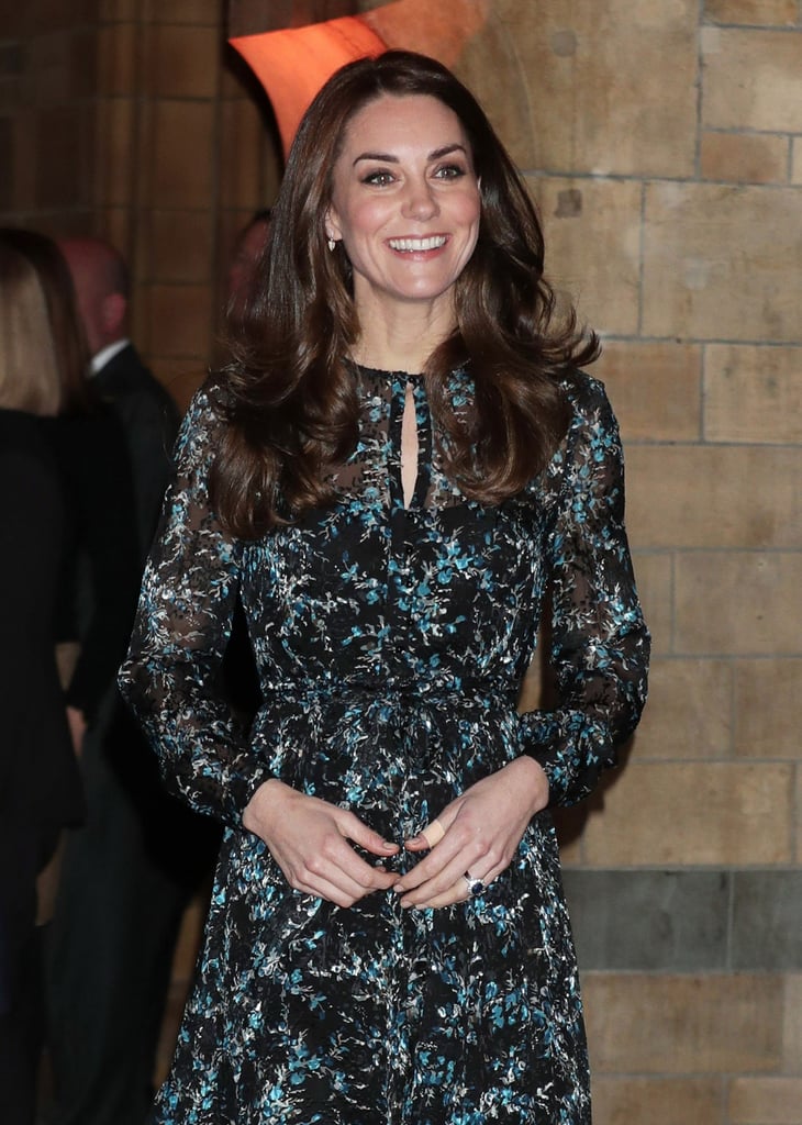 Kate Middleton Silk Dress 2024 dvos