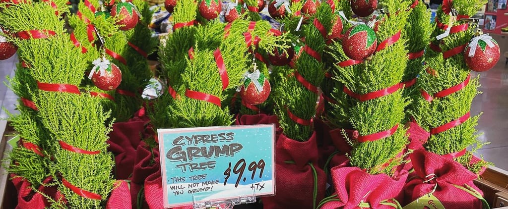 Trader Joe's Grinch Cypress Christmas Trees