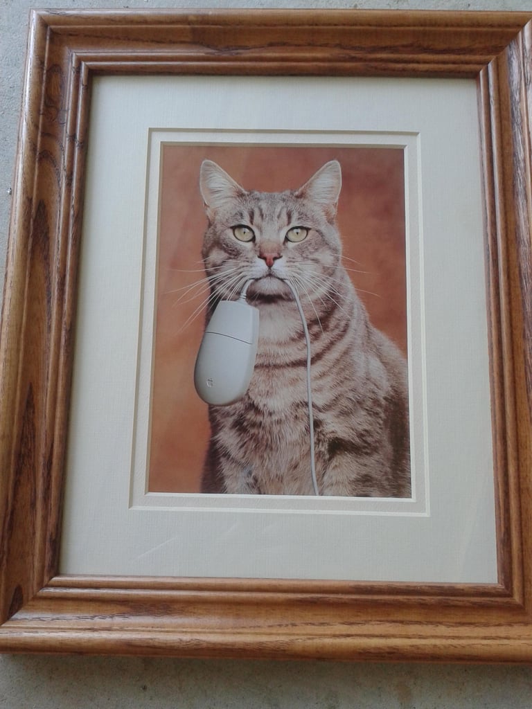 Funny Goodwill Finds POPSUGAR Tech