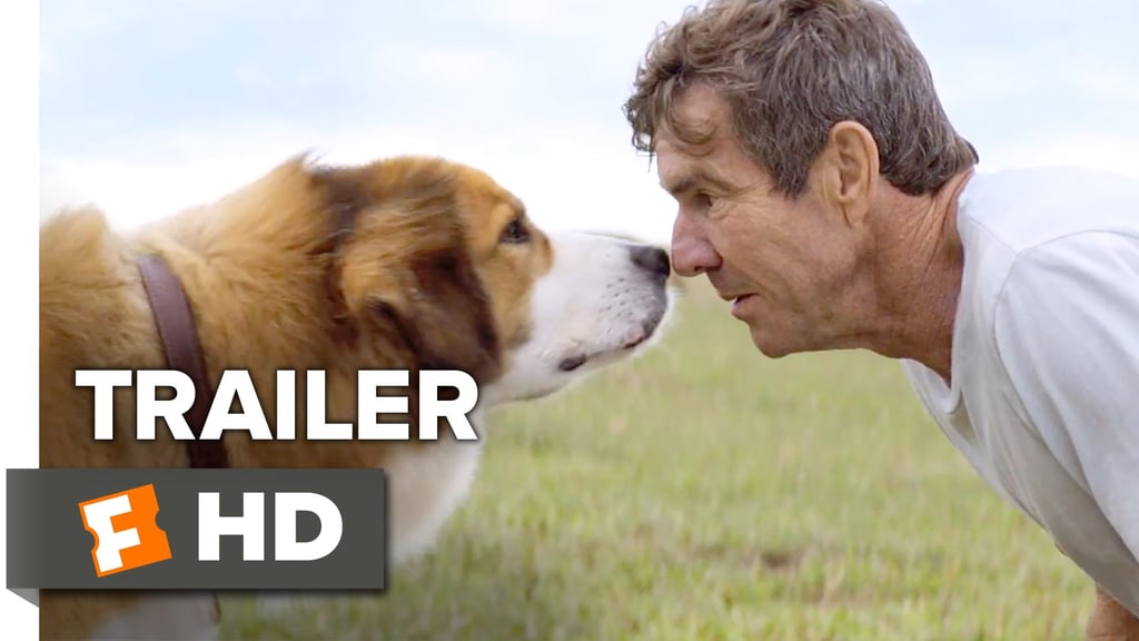 A Dog's Purpose