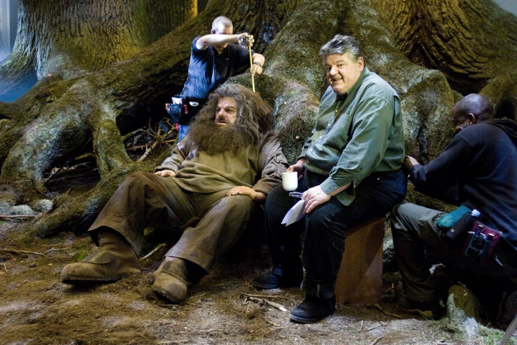 There's something so wrong about seeing Robbie and Hagrid sitting next to each other!