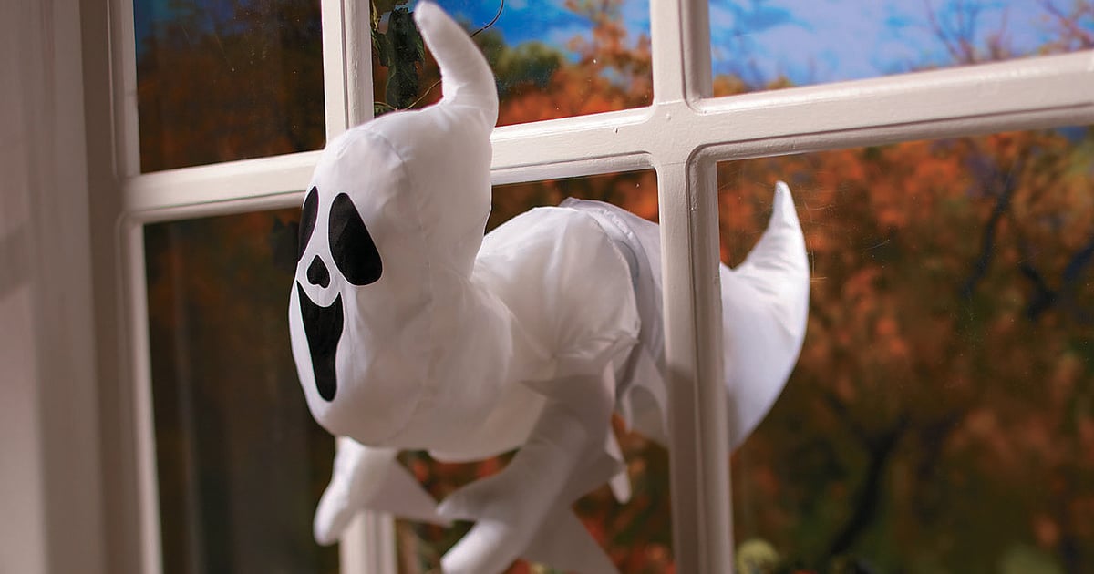 Halloween Decor & More For A Safe & Socially Distanced Celebration