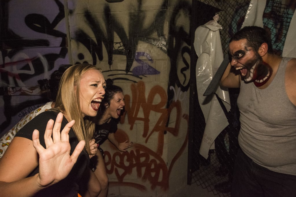 The Purge House