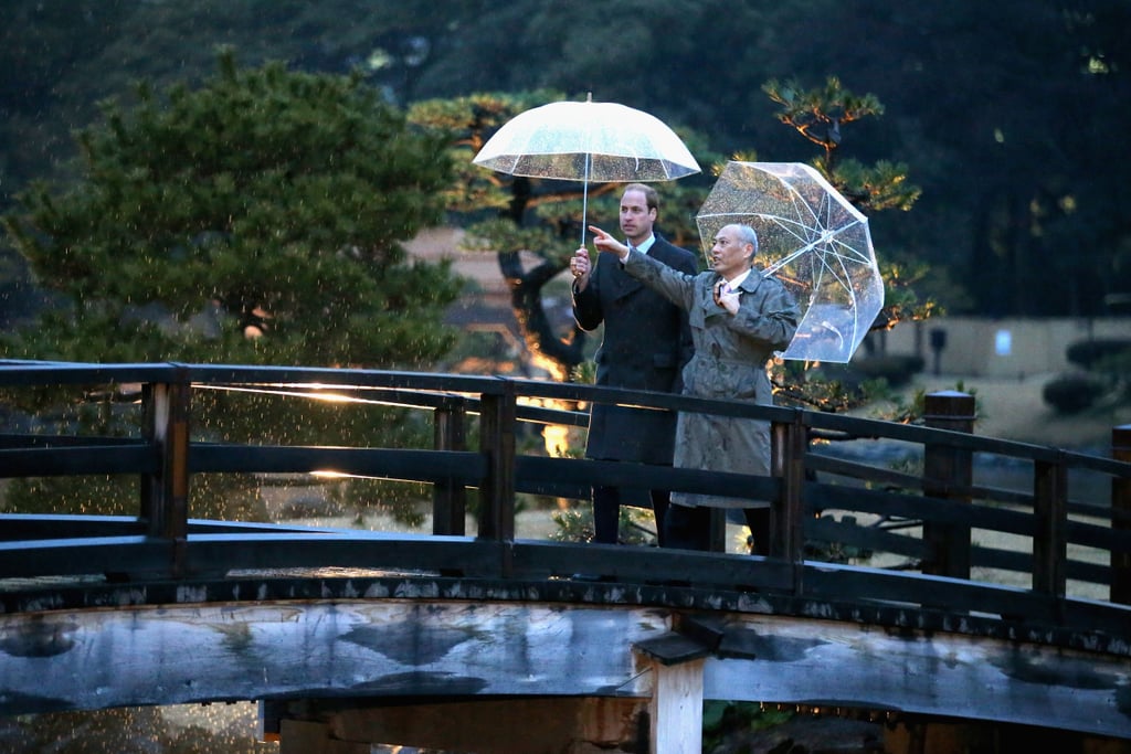 Prince William in Japan February 2015 | Pictures