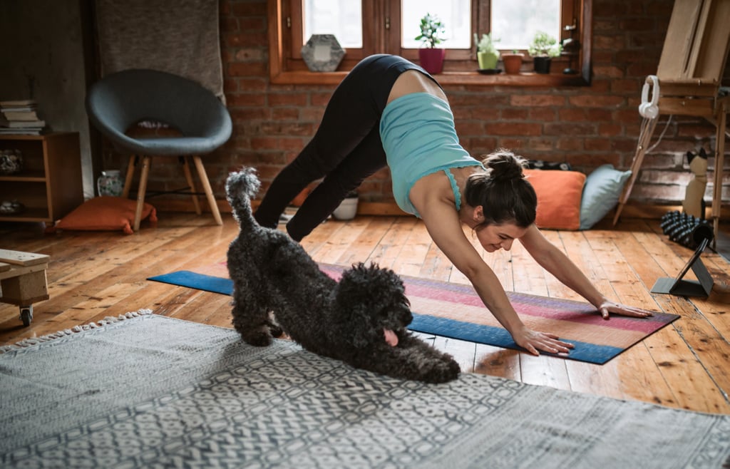 This poodle who understands the power of a Downward Dog.