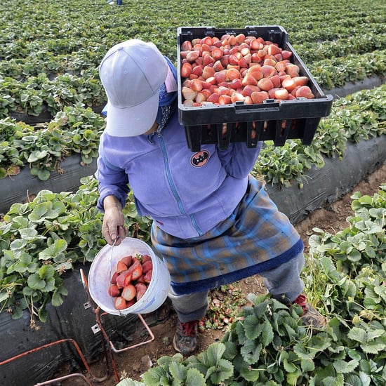 Thanksgiving: Farmworkers Are the Holiday's Unsung Heroes
