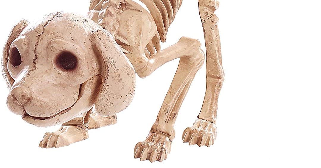 DogSkeleton Halloween Decor POPSUGAR Home