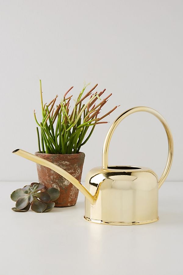 Golden Watering Can Best Gifts For PlantLovers POPSUGAR Home Photo 66
