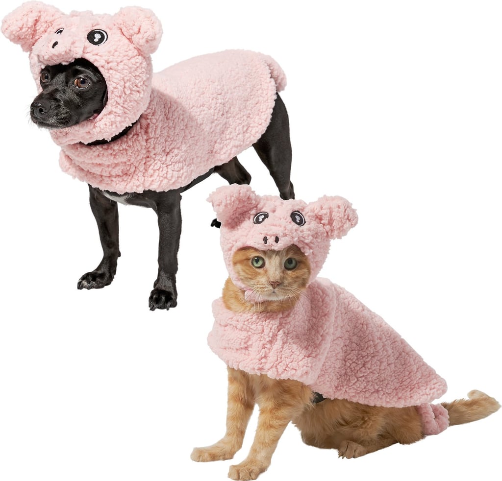 Cat in new arrivals pig costume