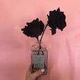 If You Live For Drama, You'll Want to Grow These Extravagant Black Roses