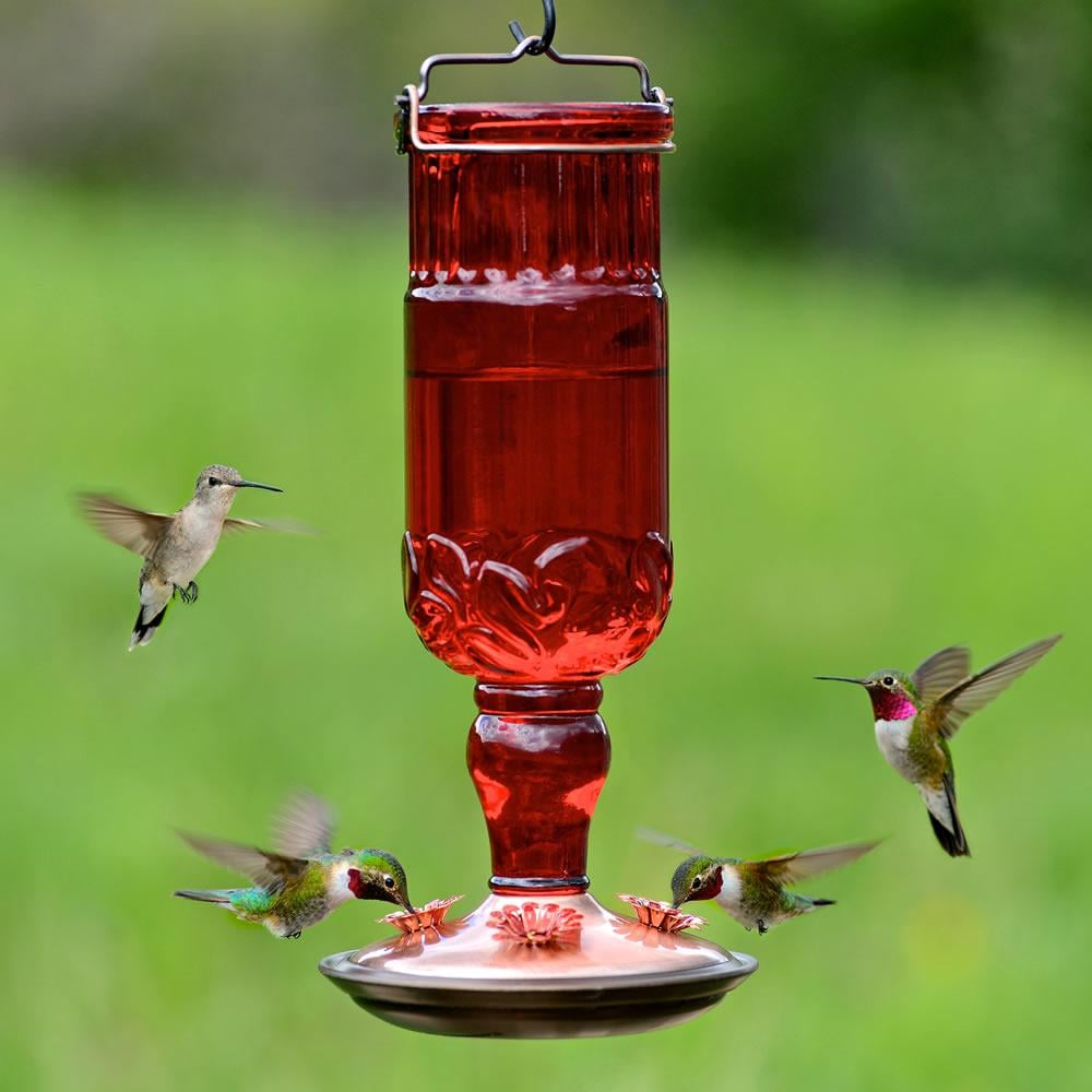 Perky-Pet Red Antique Bottle Decorative Glass Hummingbird Feeder