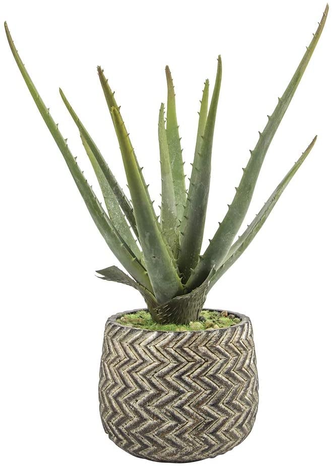 Faux Aloe: Ferrisland Artificial Faux Aloe Potted Plant With Antique Cement Pot