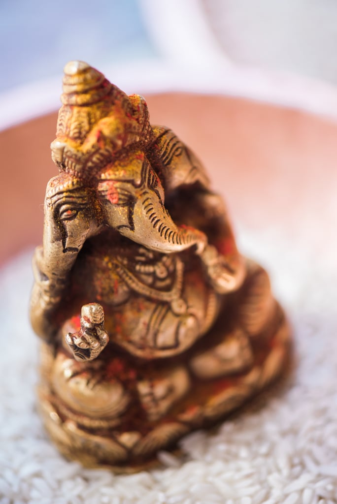 Wildlife Conservation Wedding