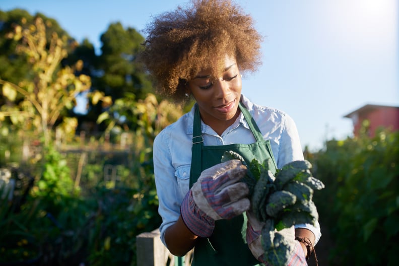 Start Gardening