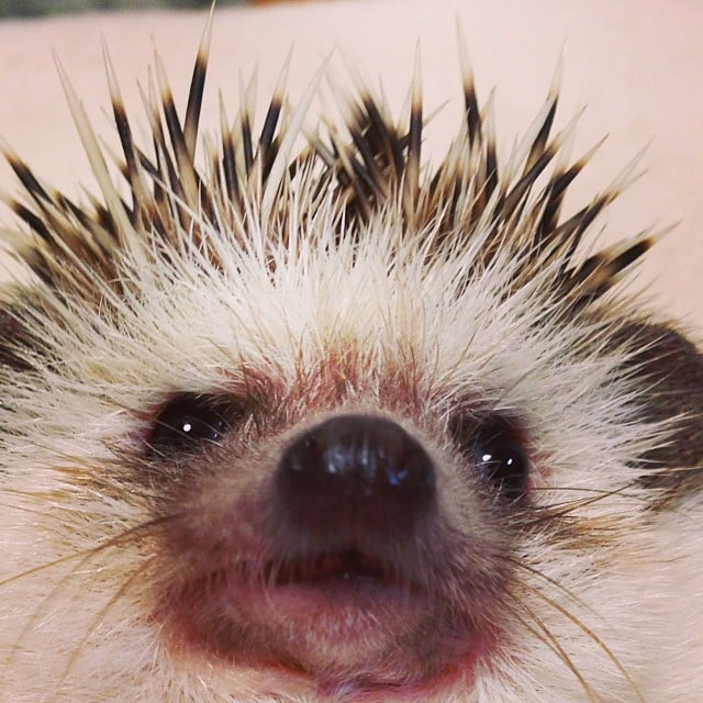 We all wake up like this.