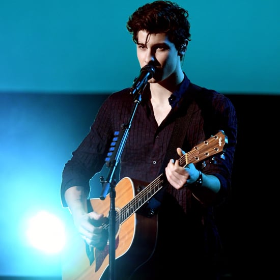 Shawn Mendes's American Music Awards Performance 2017