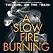 A Slow Fire Burning by Paula Hawkins Review