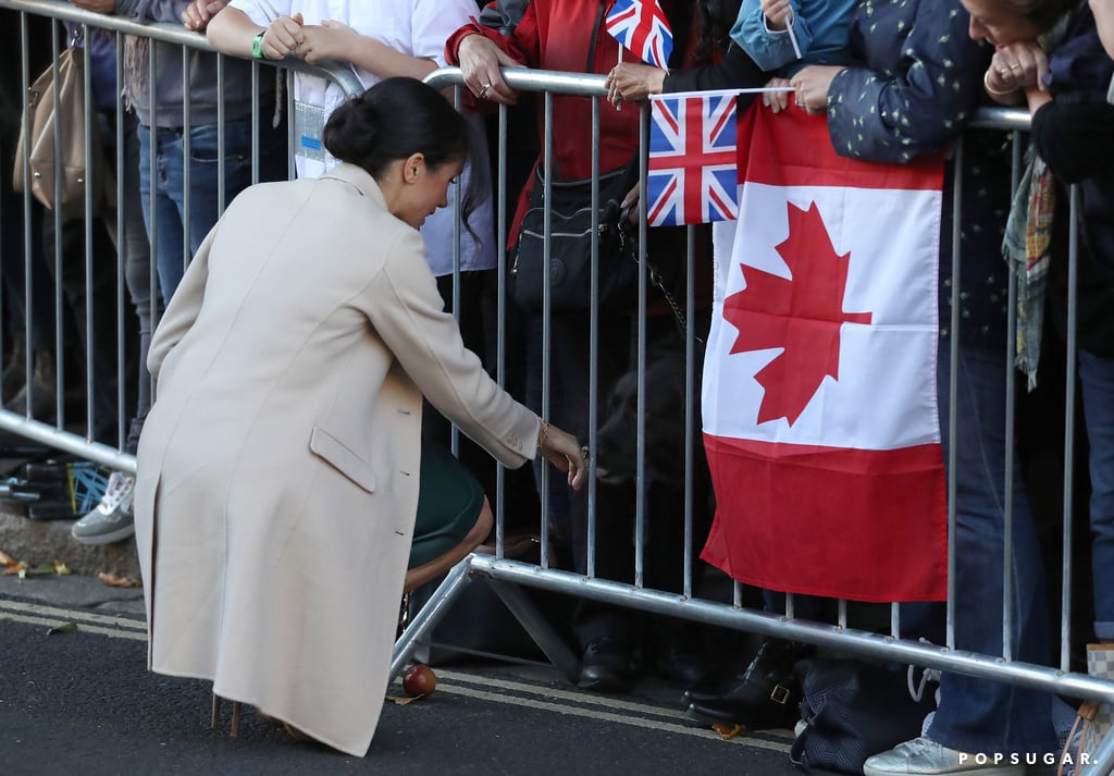 Meghan Markle With Animals Pictures