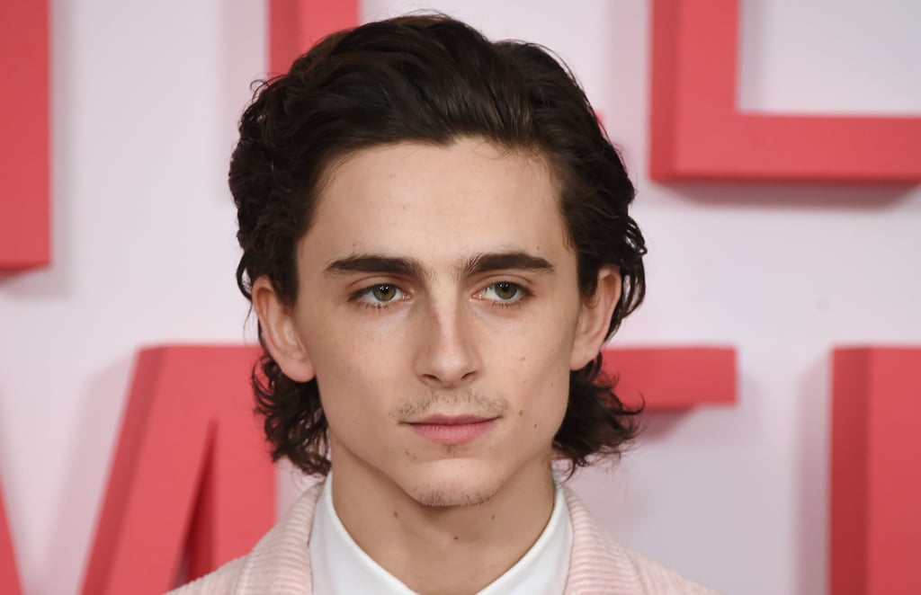 An Ode to Timothée Chalamet's Insanely Chiseled Jawline | POPSUGAR ...