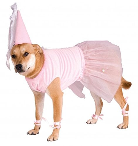 Princess Dog Costume