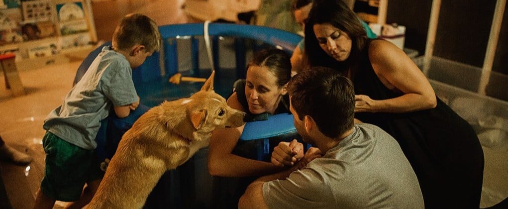 Most Heartwarming Pet Moments of 2018
