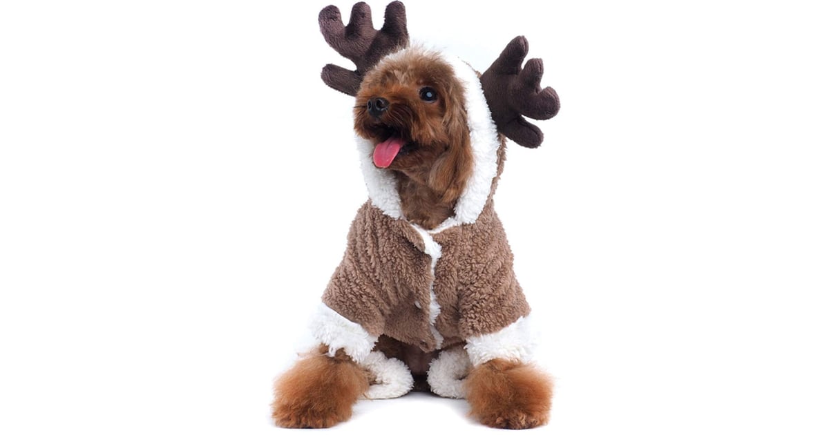dog rudolph costume