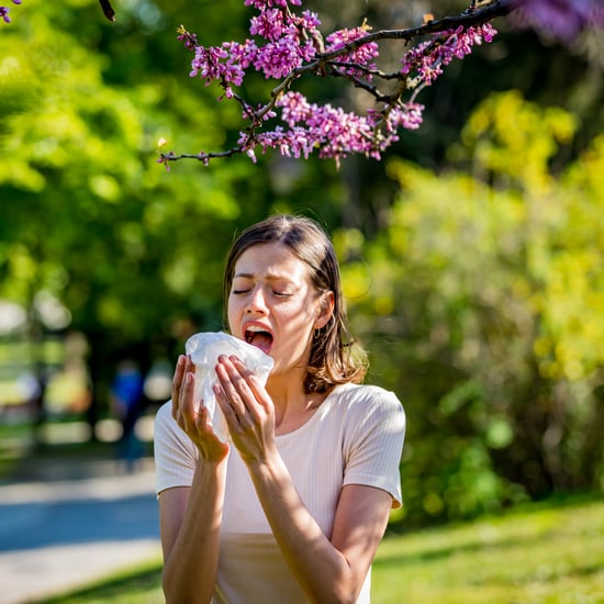 Foods That Help With Hay Fever