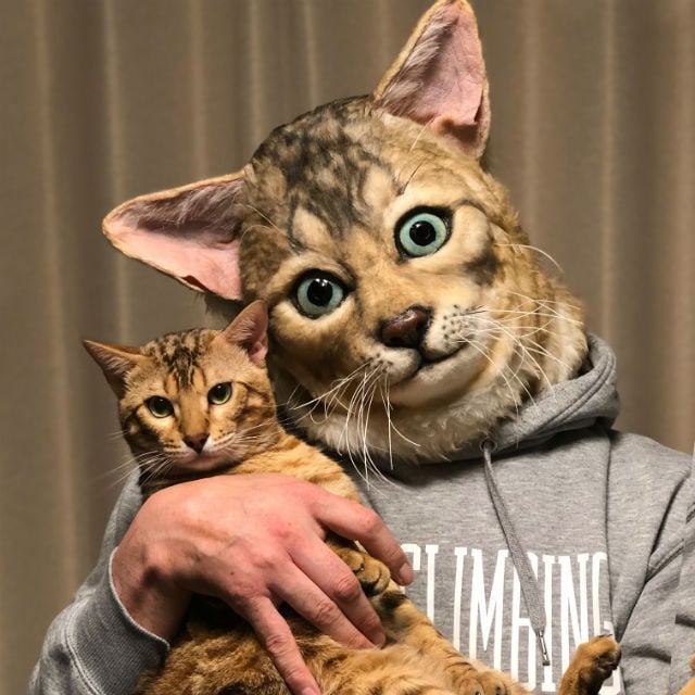 Wearable Cat Head