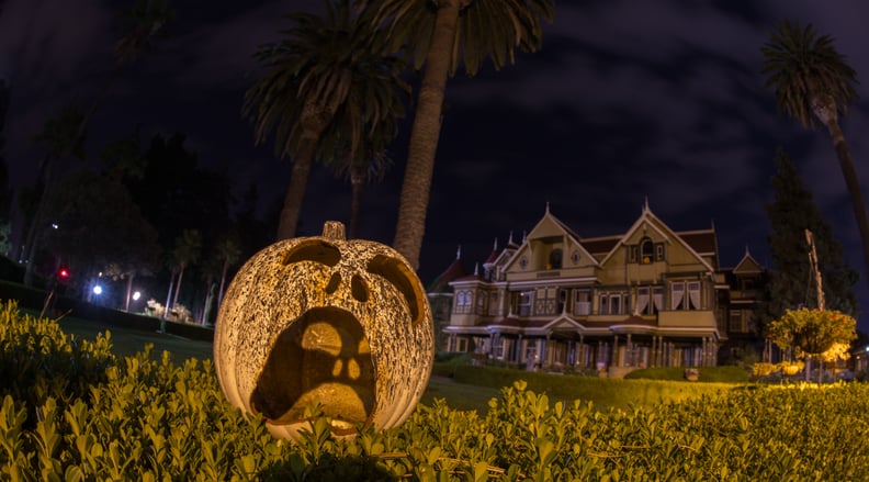 The Gardens at Halloween