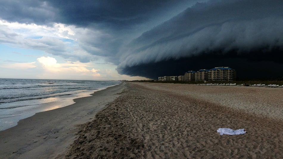 1st Place Nature: Felicia Pandola